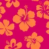 ♥︎𝗠 𝗔 𝗥 𝗬 𝗔 𝗠♥︎ - @beachymary - TikTok