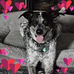 Mary Beaver - @sunset44408 - Instagram