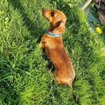 Mary Beaver - @beaver2218 - Instagram