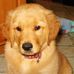 Mary Beecham - Facebook