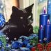 Mary Beemer - Facebook