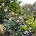 Maryvonne Befort - Facebook
