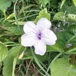 Mary_beginnerartist - @mary.beginnerartist - Instagram