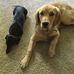Mary Behringer - Facebook