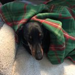 Mary Behringer - Facebook