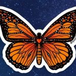Mary Belknap - @mbelknap555 - Instagram