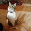 mary_benetti - @mary_benetti - TikTok