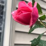 Mary Grace Benko - @benko452 - Instagram