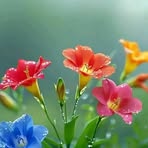 Mary Lyn Beno - Facebook