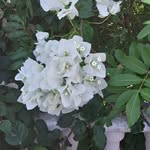 Mary Benton - @imamarybenton - Instagram