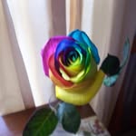 Mary Beres - @beresmary - Instagram