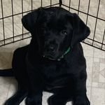 Mary Berkey - @iamistw05 - Instagram