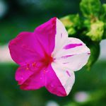 Mary Berkey | Photography - @marybsphotos - Instagram