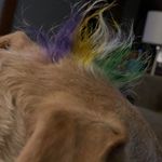 Mary Allender Berney - @maryberney - Instagram