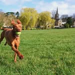 Mary J Berney - @kinlochbrae - Instagram