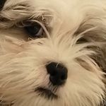 Mary Kate Bernier - @murrrr_kate - Instagram