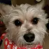 Mary_berrier - @mary_berrier - TikTok