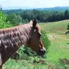 Maryjo Berrier - @maryjoberrier - TikTok