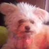 Mj28064 - @maryberrier2 - TikTok