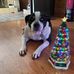 Mary Bertin - Facebook