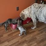 Mary McConnell Bevard - @mcconnellbevard - Instagram
