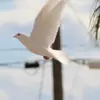 Mary Bey-Anderson - @mary.beyanderson - TikTok