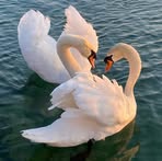 Mary Biber - Facebook