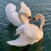 Mary Biber - @mary.biber - TikTok