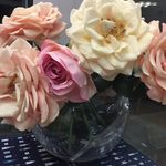 Mary Bickle - @mezzy_me45 - Instagram