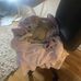 Maria Bigley - Facebook