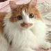 Mary Bigley - Facebook