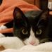 Mary Frances Bilger - Facebook