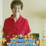Mary Billings White - @marybillingswhite - Instagram