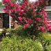 Mary Ellen Billman - Facebook