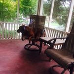 Mary Bingaman - @maryjimbnb - Instagram