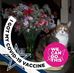 Mary Bisbee - Facebook