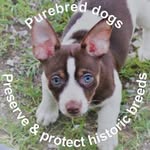 Mary Bitzer - @bitzer.farm.9 - Instagram