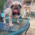 Mary Blaney - Facebook