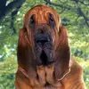 mary_blaney - @annissa27glad - TikTok