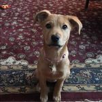 Mary Kay Blatz - @mkayblatz - Instagram