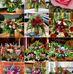 Mary Blauvelt - Facebook