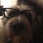 Henry Mary Santacroce Bleier - @hannahjeantheprankster - Instagram