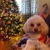 Mari Blust - Facebook