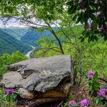 Mary Hamrick Bodkin - @gamum1942 - Instagram
