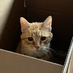 mary bogart - @marybogart09 - Instagram