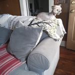 Mary Bogus - @_.maryt._ - Instagram