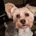 Mary McGrann Bohlen - @marybohlen - Instagram