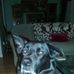Mary Bohlmann - Facebook