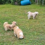 Mary Bois - @marybois501 - Instagram