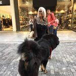 Mary Bolla - @marybolla54 - Instagram